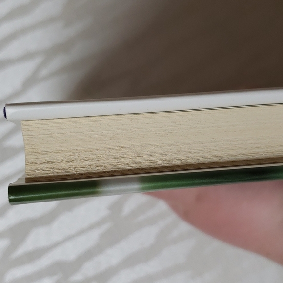 Joel Osteen Book - I Declare, 31 Promises to Speak Over Your Life - Picture 11 of 11